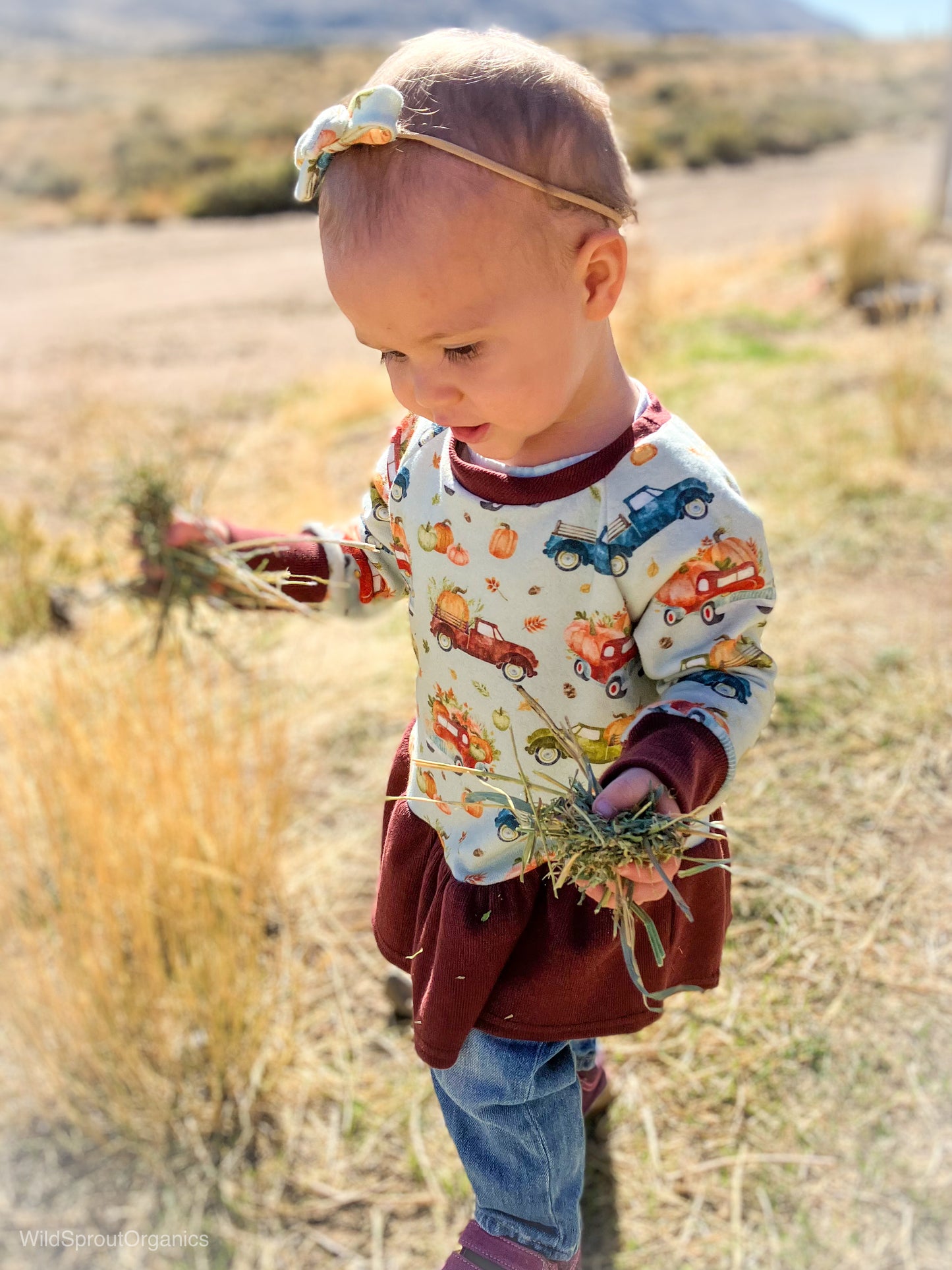 Organic French Terry Peplum Raglan Sweater in Pumpkin Farm