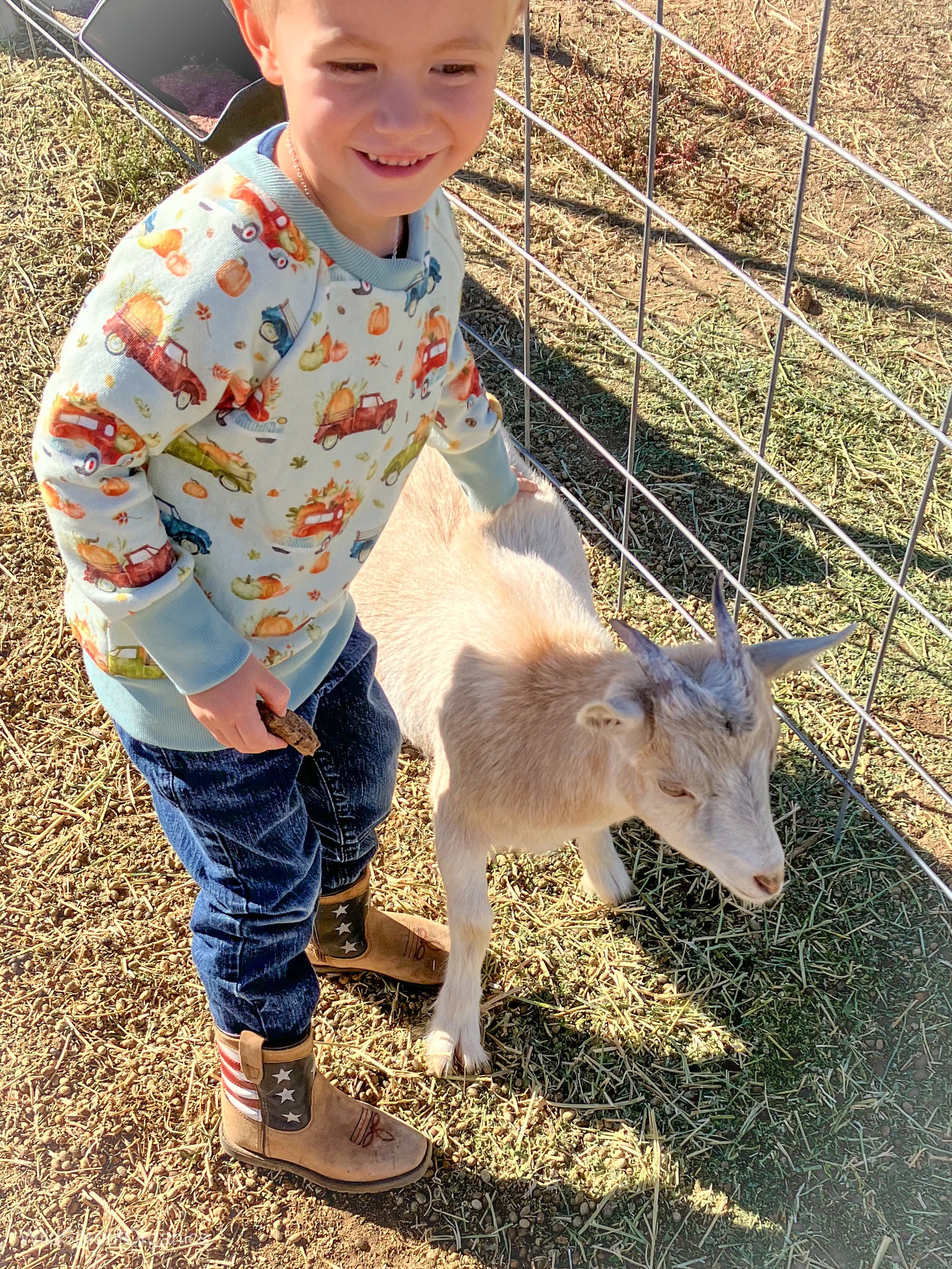 Organic French Terry Raglan Sweater in Pumpkin Farm