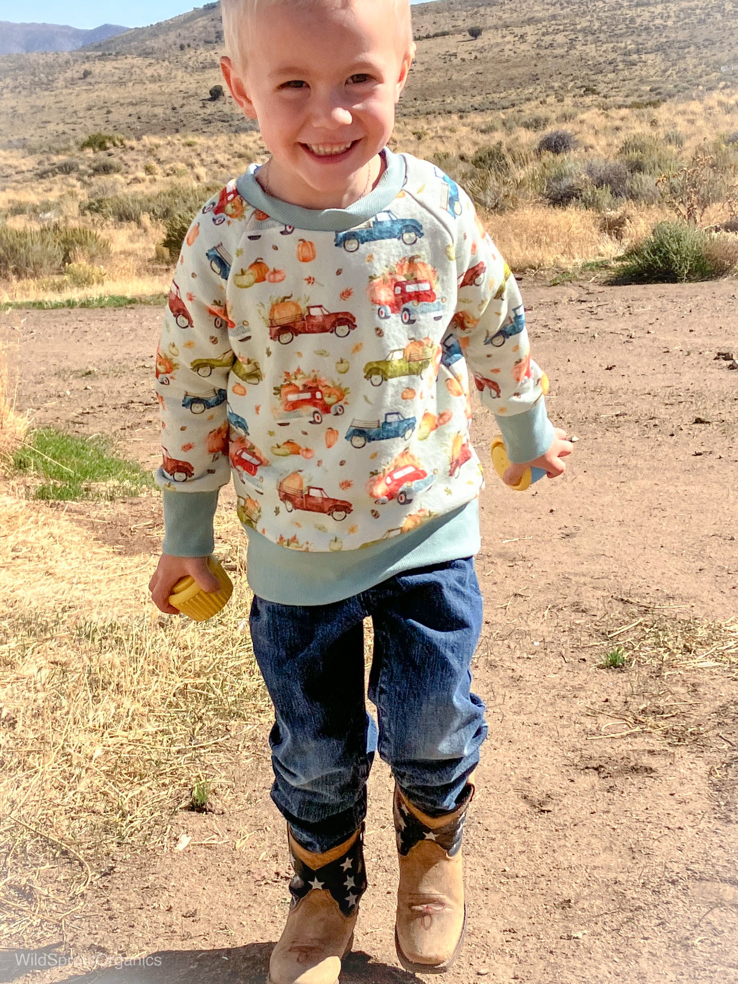 Organic French Terry Raglan Sweater in Pumpkin Farm